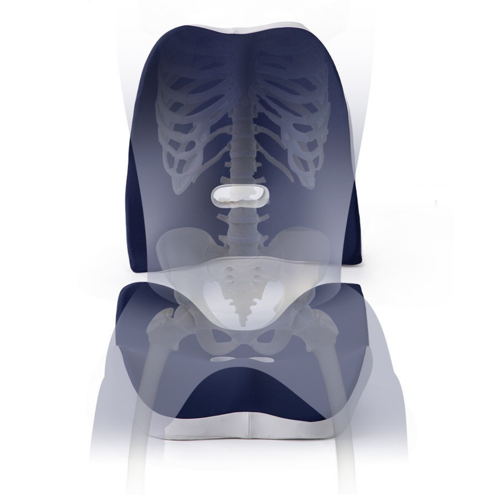 Positionnement du corps avec le Coussin ergonomique multiusage Omilys ErgoCare™