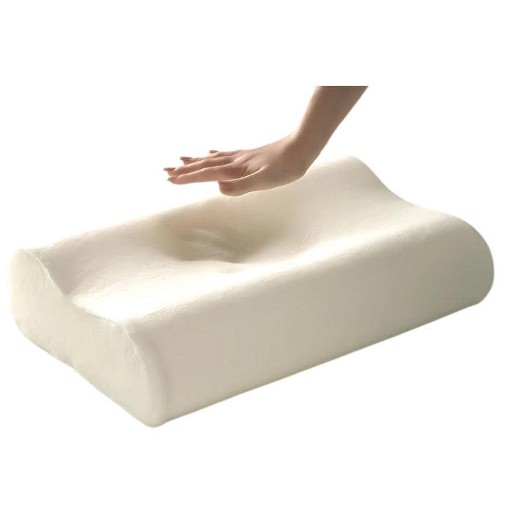 Collection ErgoFoam Omilys